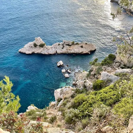 Vue Le Panoramique Vieux-port De