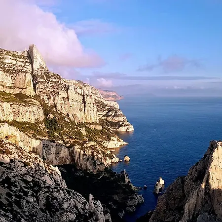 Vue Le Panoramique Vieux-port De Marseille